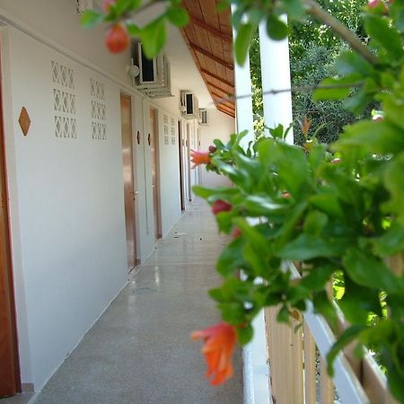 George'S Apartment Agia Marina  Oda fotoğraf