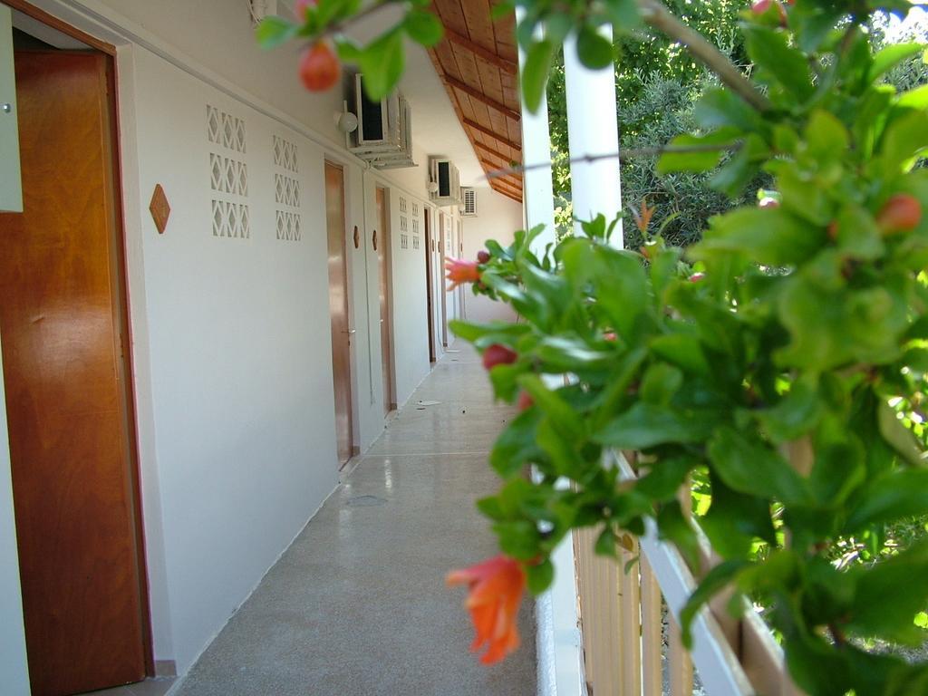 George'S Apartment Agia Marina  Oda fotoğraf