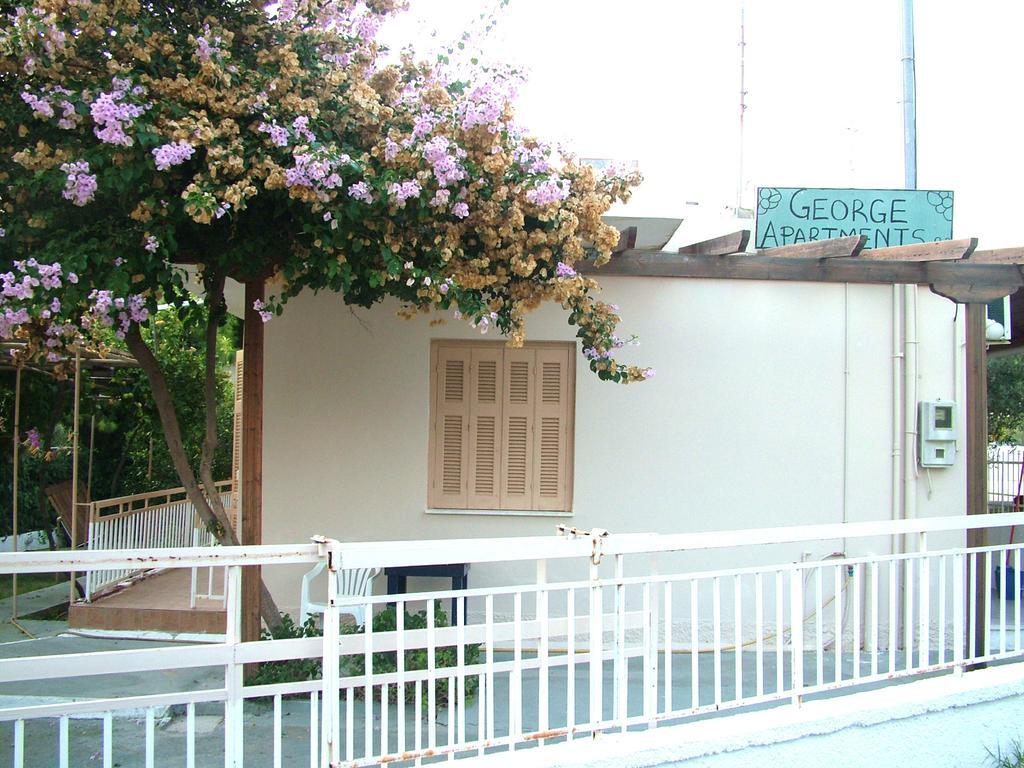 George'S Apartment Agia Marina  Oda fotoğraf